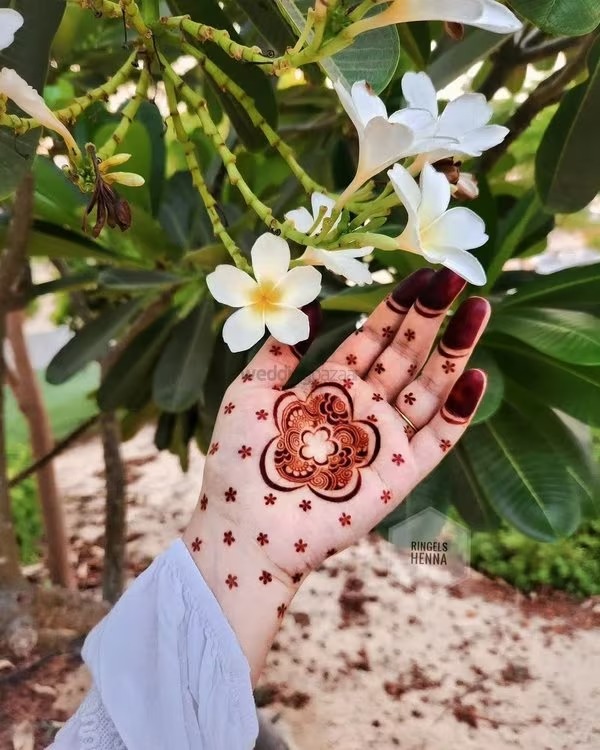 imgi 86 363502805 833318421495315 5577863500440832143 n