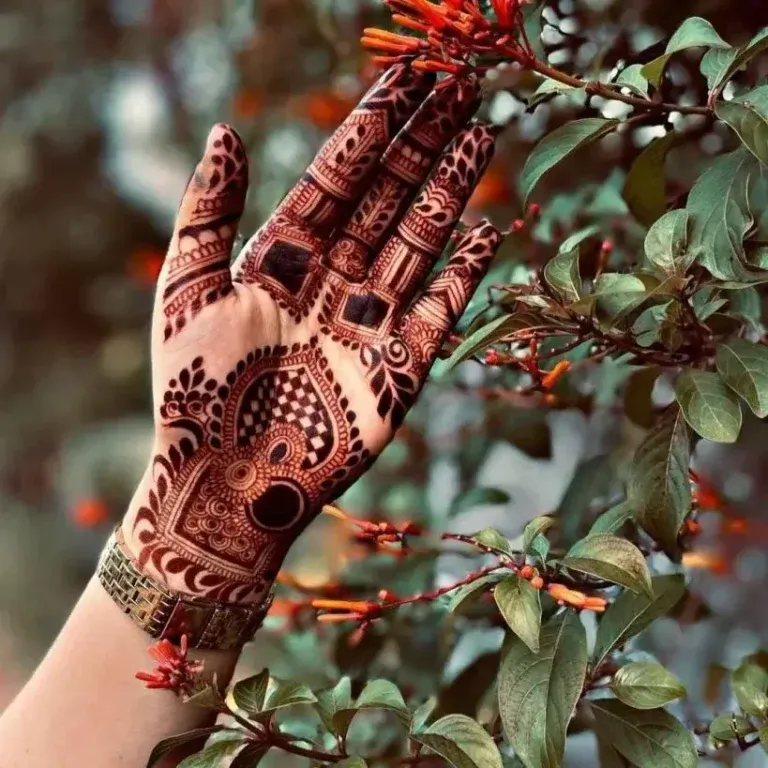 Rabeeca Khan Vlog Mehndi